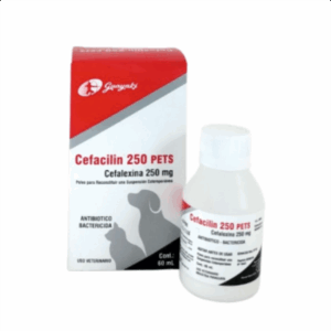 Cefacilin Pets 250mg - 60ml