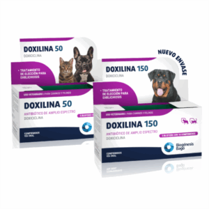 Doxilina 50mg/ por blíster