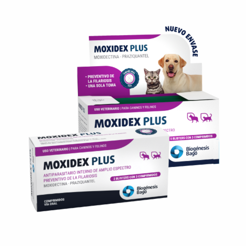 Moxidex Plus