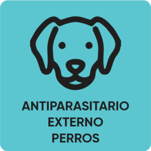 Perros (antiparasitarios externos)