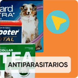 Antiparasitarios