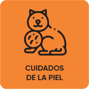 Cuidados de la Piel