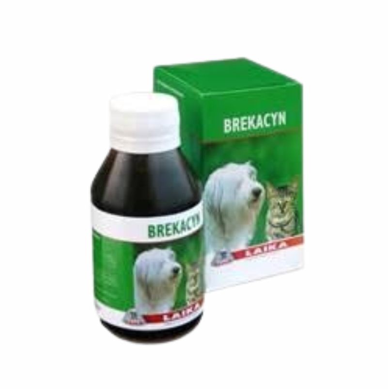 Brecacyn Jarabe 100ml