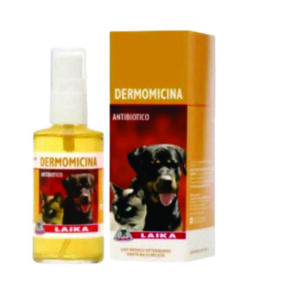 Dermomicina Spray 60ml.