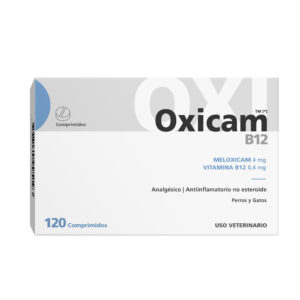 Oxicam B12/ por blíster
