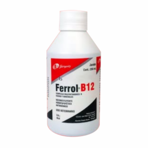 Ferrol B12 Jarabe 250ml